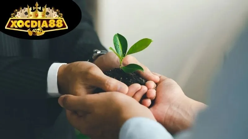Chính sách đại lý XocDia88 rõ ràng, dễ hiểu 3 Lợi ích khi tham gia chương trình đại lý